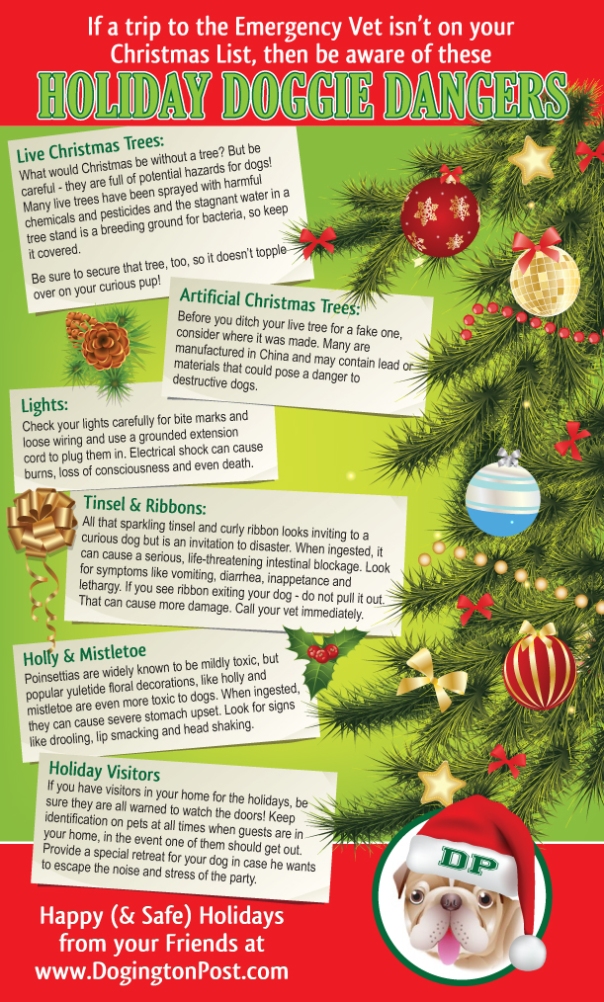 Holiday Dangers from DogingtonPost.com